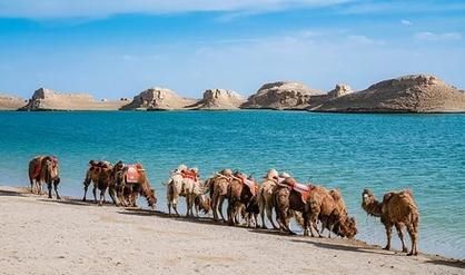 青海旅行(还是选择舒适的跟团游)