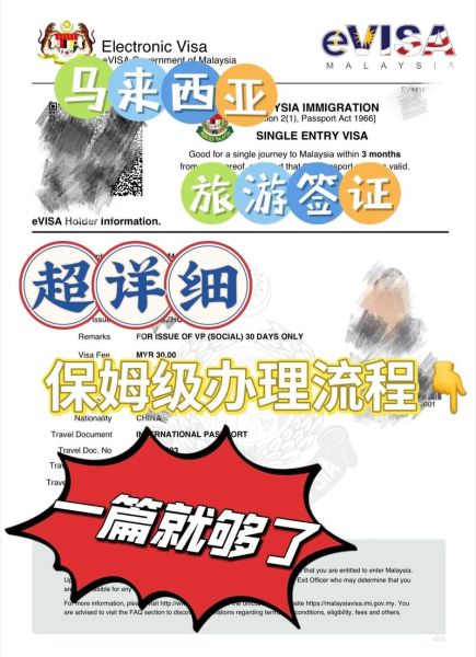 马来西亚签证(网上申请流程是什么)