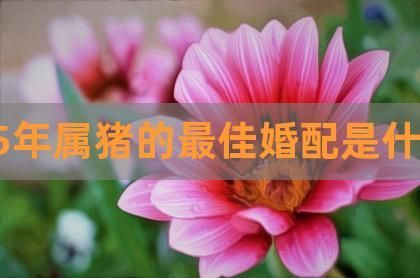 95年属猪女的婚姻预测(她们的婚姻生活会充满挑战吗)