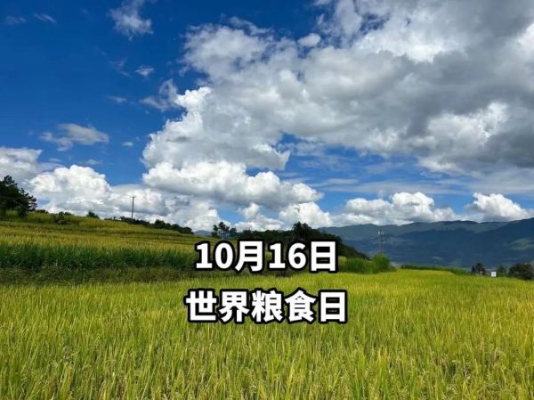 10月16日是什么节日(它和世界粮食日有什么联系)