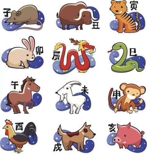 九死一生是什么生肖 (和十二生肖有什么关系)