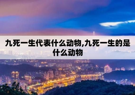 九死一生是什么生肖 (和十二生肖有什么关系)