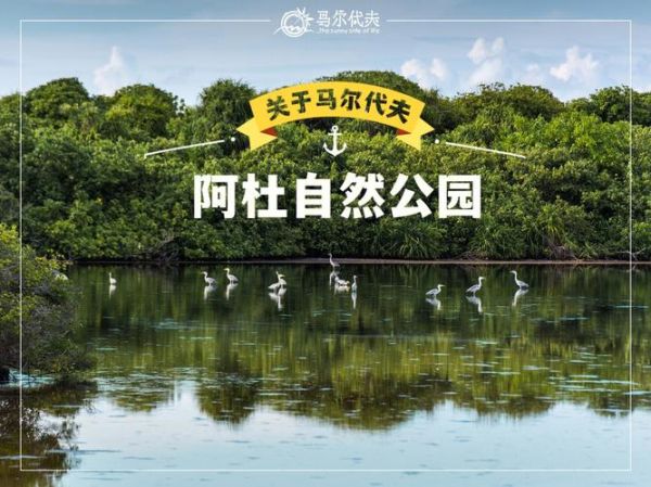 塔洛希塔岛小说(是浪漫邂逅还是危险游戏)