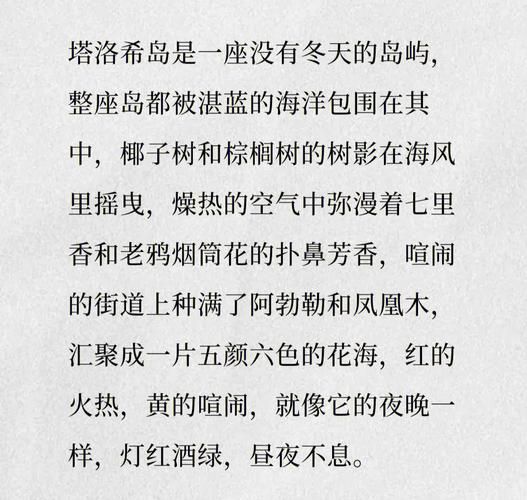塔洛希塔岛小说在线阅读(塔洛希岛小说到底讲了什么故事)