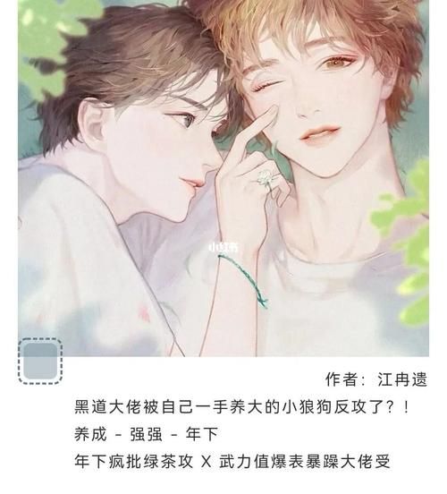 塔洛希岛江冉遗车七天七夜(谁才是真相的知情者)