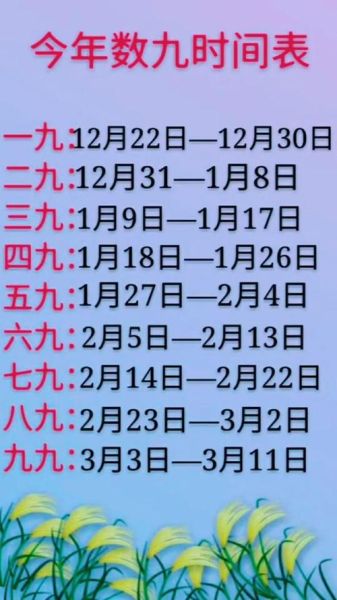 农历查询 今日几九(到底还有多久才结束数九)