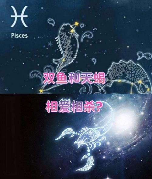 双鱼座男和天蝎座女(谁更需要爱情)