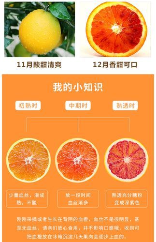 塔罗科血橙简介( 你知道它有哪些品种吗)