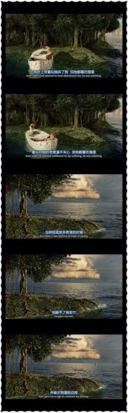 少年派的奇幻漂流经典台词(哪些台词让你感触最深)
