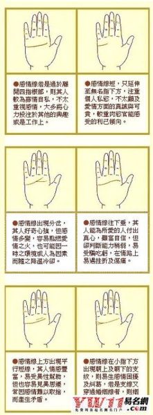 感情线上(你的感情路途充满荆棘吗)