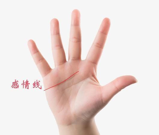 感情线上(你的感情路途充满荆棘吗)