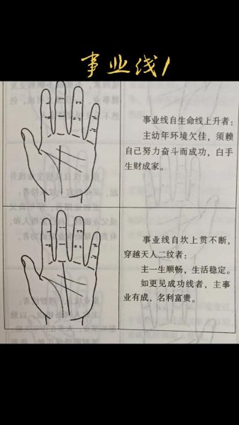 掌纹的秘密(它能揭示你的人生轨迹吗)