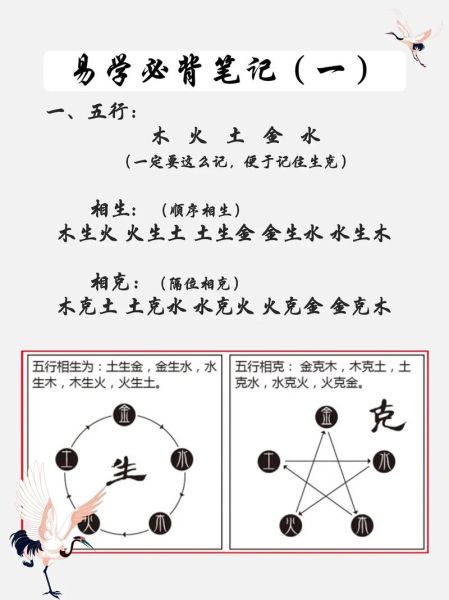 易经入门学(  怎么才能学懂易经)