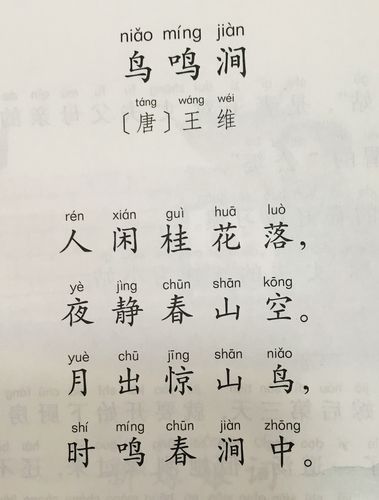 月出惊山鸟 时鸣春涧中(鸟鸣声是怎样的)