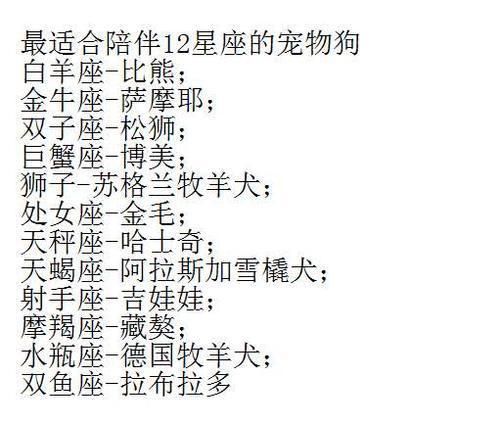 天蝎座和什么星座最配星座狗(听说跟狗狗也挺搭)