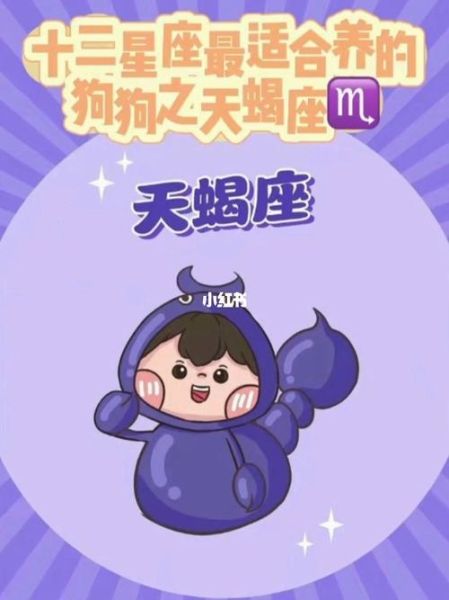 天蝎座和什么星座最配星座狗(听说跟狗狗也挺搭)