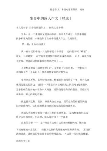 生命的感动(也能触动心灵)