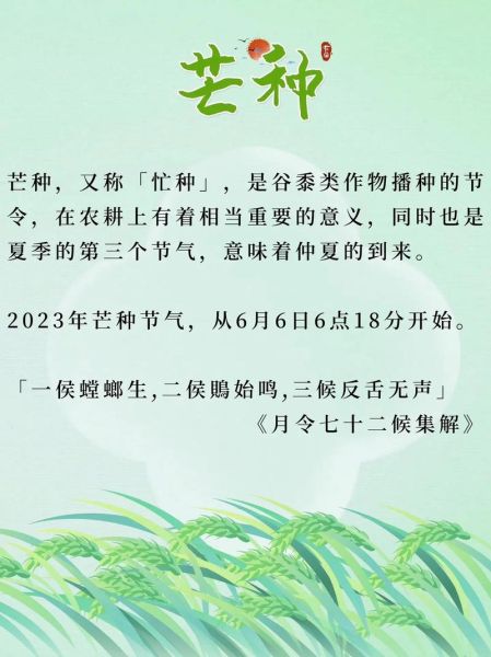 芒种是哪天(今年芒种是什么时候)
