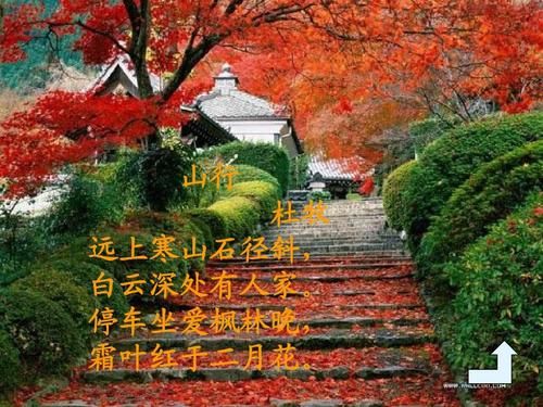 远上寒山石径斜白云深处有人家意思( 那深秋的枫叶为什么比二月花还红呢)
