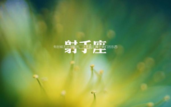 射手座看透的太多(  他们会因此感到孤独吗)