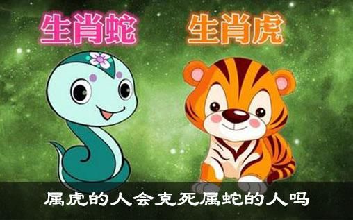 属马人2022年虎年运势(他们会遇到什么机遇和挑战)