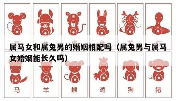 属马和属兔(谁更容易相处)