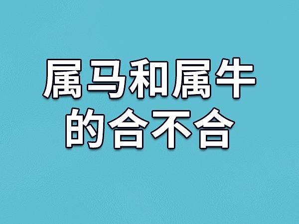 属马和属牛(谁更适合做邻居)