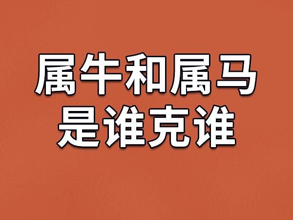 属马和属牛(谁更适合做邻居)