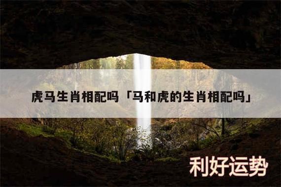 属马和属虎(谁更适合做朋友)