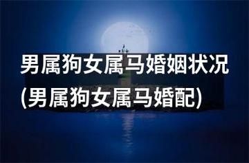 属马男和属狗女(他们的婚姻生活会和谐吗)