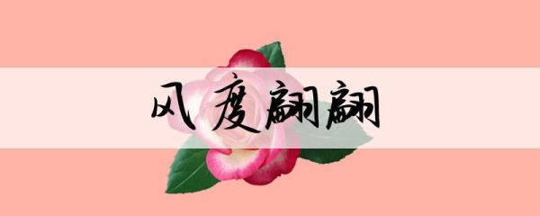 风度翩翩造句(还是精致的外表)