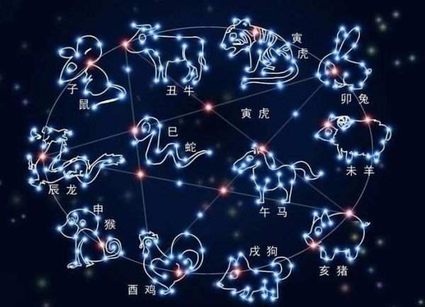 属马男最佳婚配(  哪些星座容易产生矛盾)