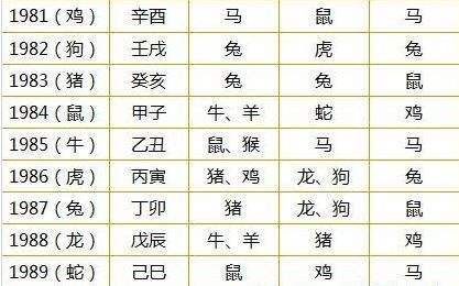 属马的五行缺什么(命理该如何补救)