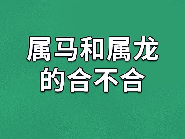 属马的人和相配(会擦出怎样的火花)