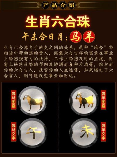 属马的六个合贵人图片(你认得出几个)