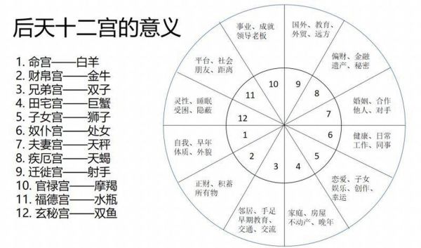 怎么看星座宫盘(它到底能揭示什么秘密)
