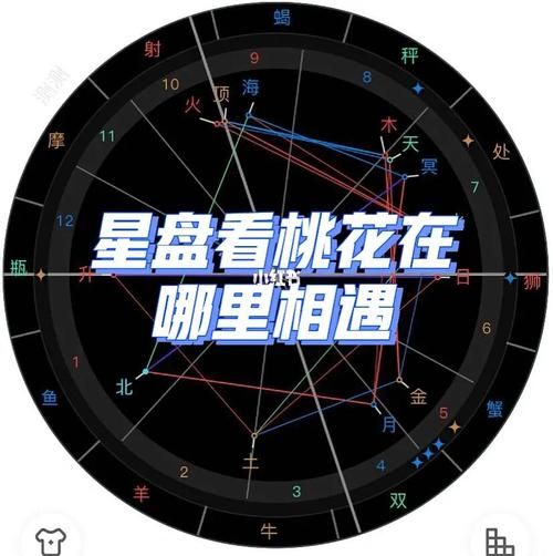 星座命盘看桃花运(命盘里藏着你的爱情秘密)