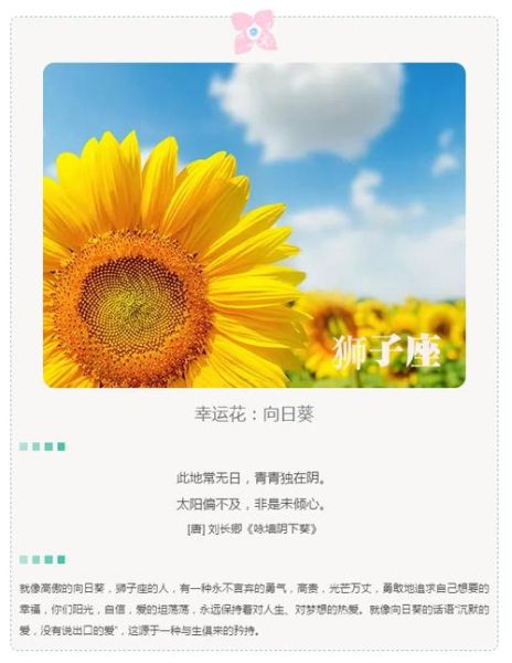 星座幸运花(它能帮助你心想事成吗)