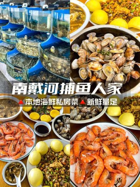 南戴河旅游度假区(吃什么最鲜美)