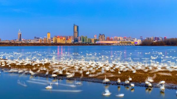天鹅湖旅游度假区(去看看值不值)