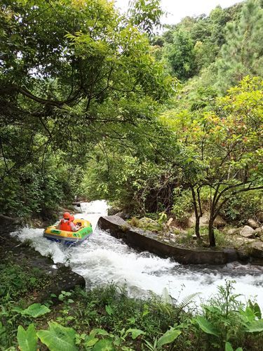 新兴天露山旅游度假区(适合带孩子去吗)