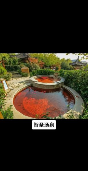 智圣汤泉旅游度假村(体验汉代风情)