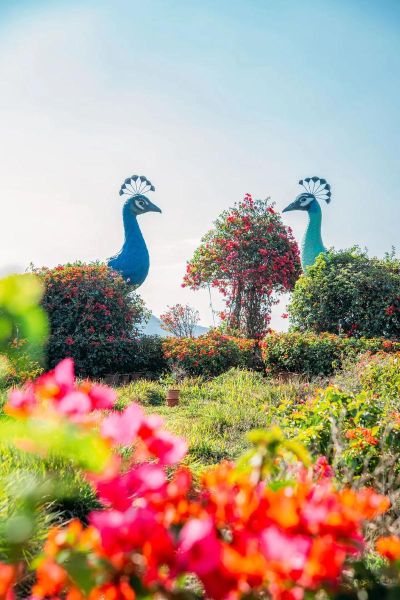 海南花梨谷旅游度假景区(有什么适合小朋友玩的)
