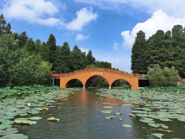 清水湖旅游度假区(适合周末放松吗)