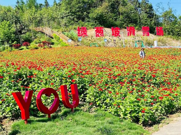 绿葱坡旅游度假区(还能享受到哪些乐趣)