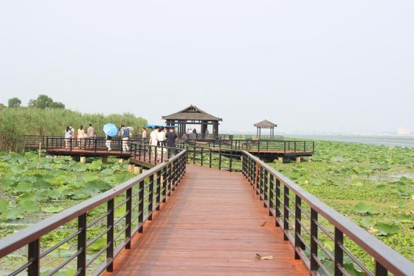 阳澄湖旅游度假区(去哪里才能拍出最美照片)