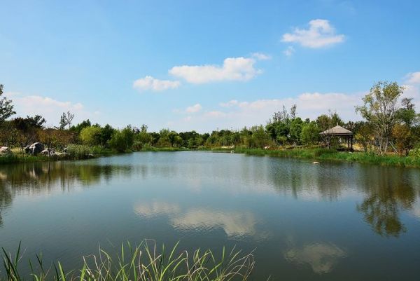 阳澄湖旅游度假区(去哪里才能拍出最美照片)