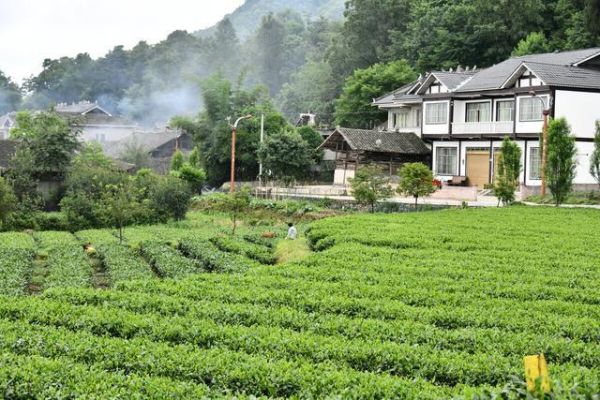 乡村的生活( 你会选择怎样的生活方式)