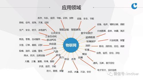 互联网在生活中的应用(你真的了解互联网吗)