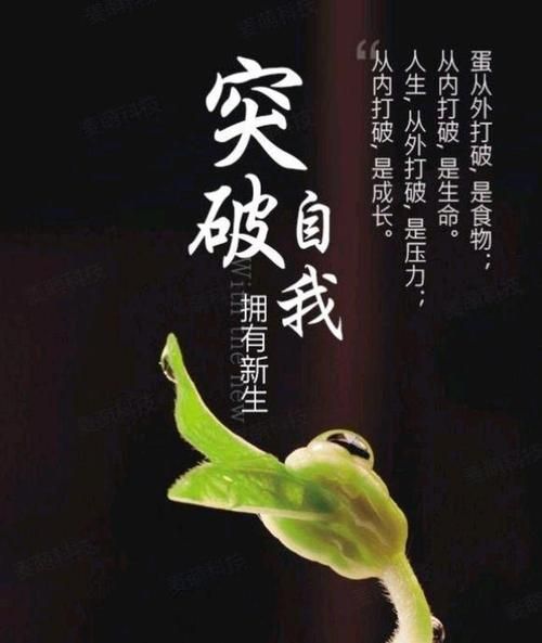 享受慢生活(活出真实的自己)